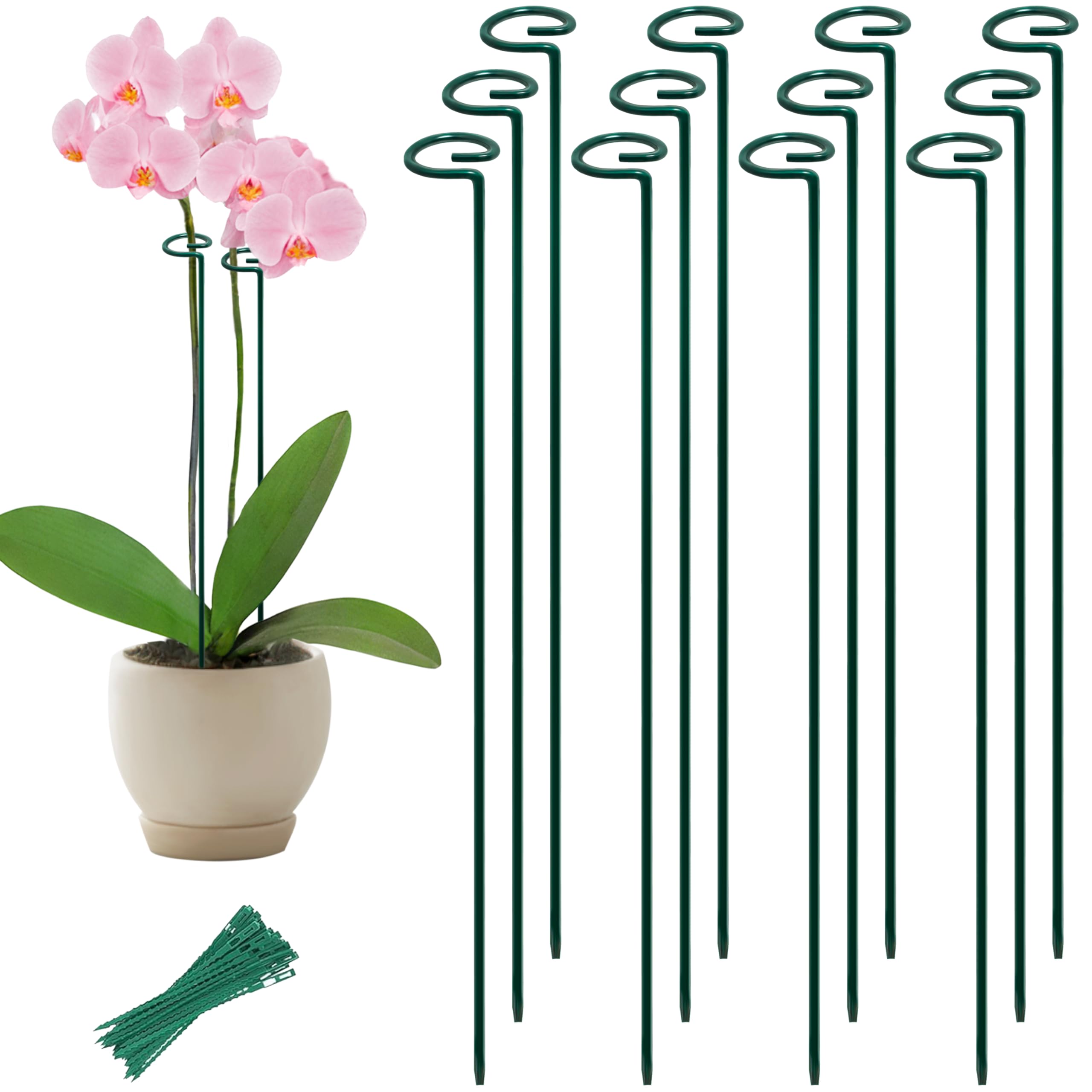 Piquets de support de plantes en métal de 6mm tuteurs de jardin durables