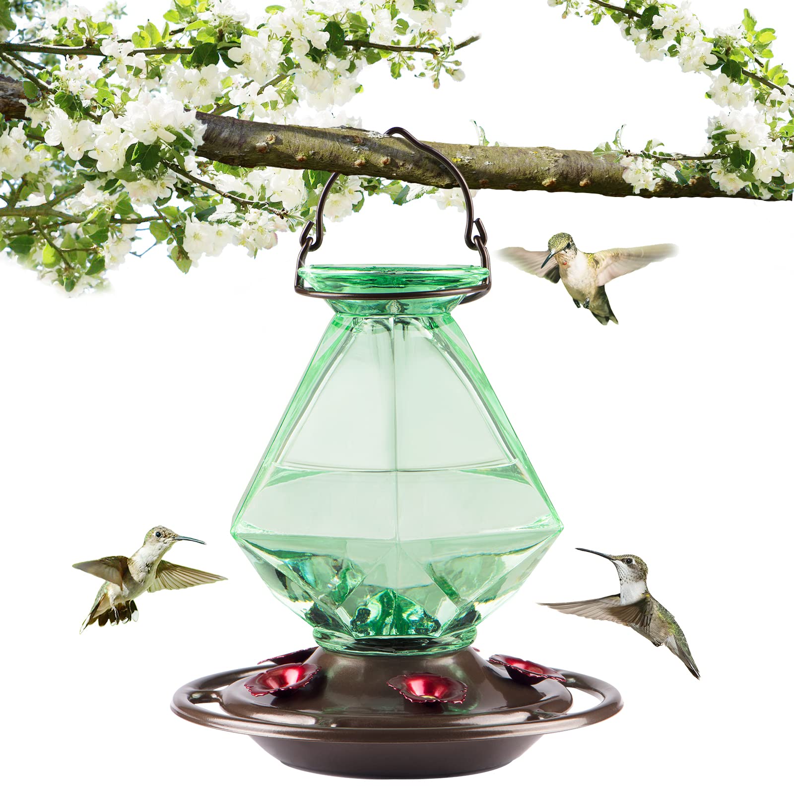 10 Modern Hummingbird Feeders A Guide to Choosing the Best One for