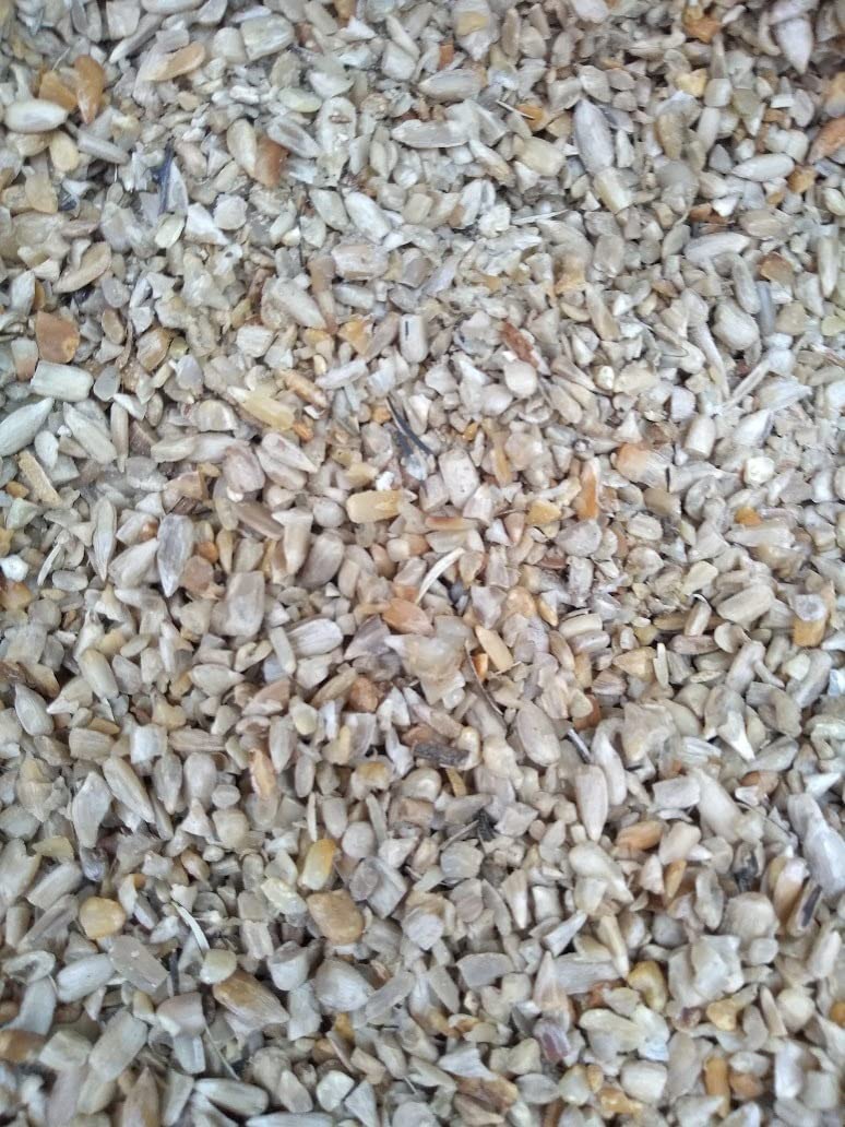 Erdnüsse Vogelfutter Wild Vogel Futter 20 Kg Lyra Pet® Sonnenblumenkerne Geschält BRUCH Neue Ernte Vogel Streufutter Sonnenblumenkerne Geschält 25kg