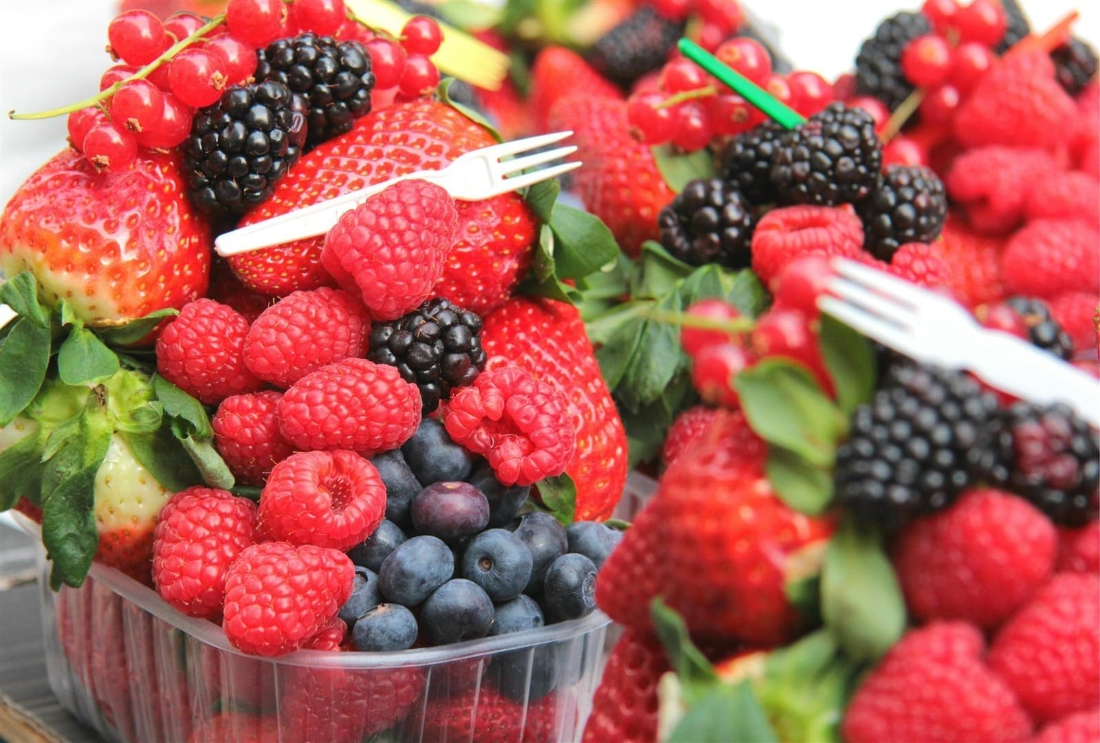 Ponthier Rote Früchte Püree 3x 1kg Fruchtpüree für Desserts und Cocktails