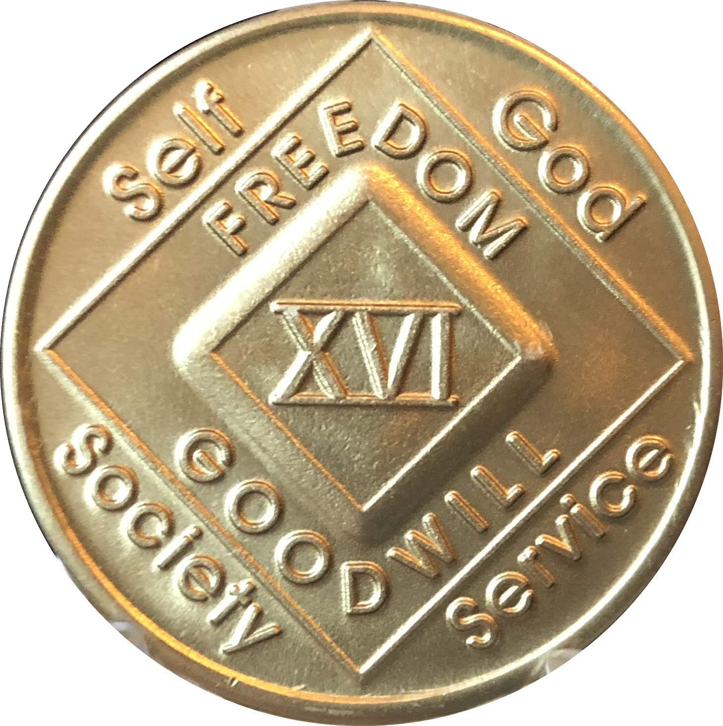 16 Year NA Medallion Official Narcotics Anonymous Chip XVI