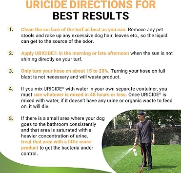 Remove Pet Urine Smells from All Surfaces - Results!