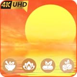 イエロー・ハーモニー - リラックス・ノイズと集中力