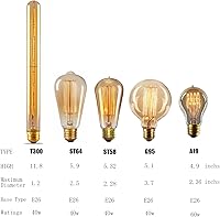 Vista 6 de GOENDR Vintage Edison Bulb,Large Round Edison Antique Light Bulbs-G30/G95 120V - Dimmable Thread Filament Style Nostalgic Light Bulbs (4 Pack)