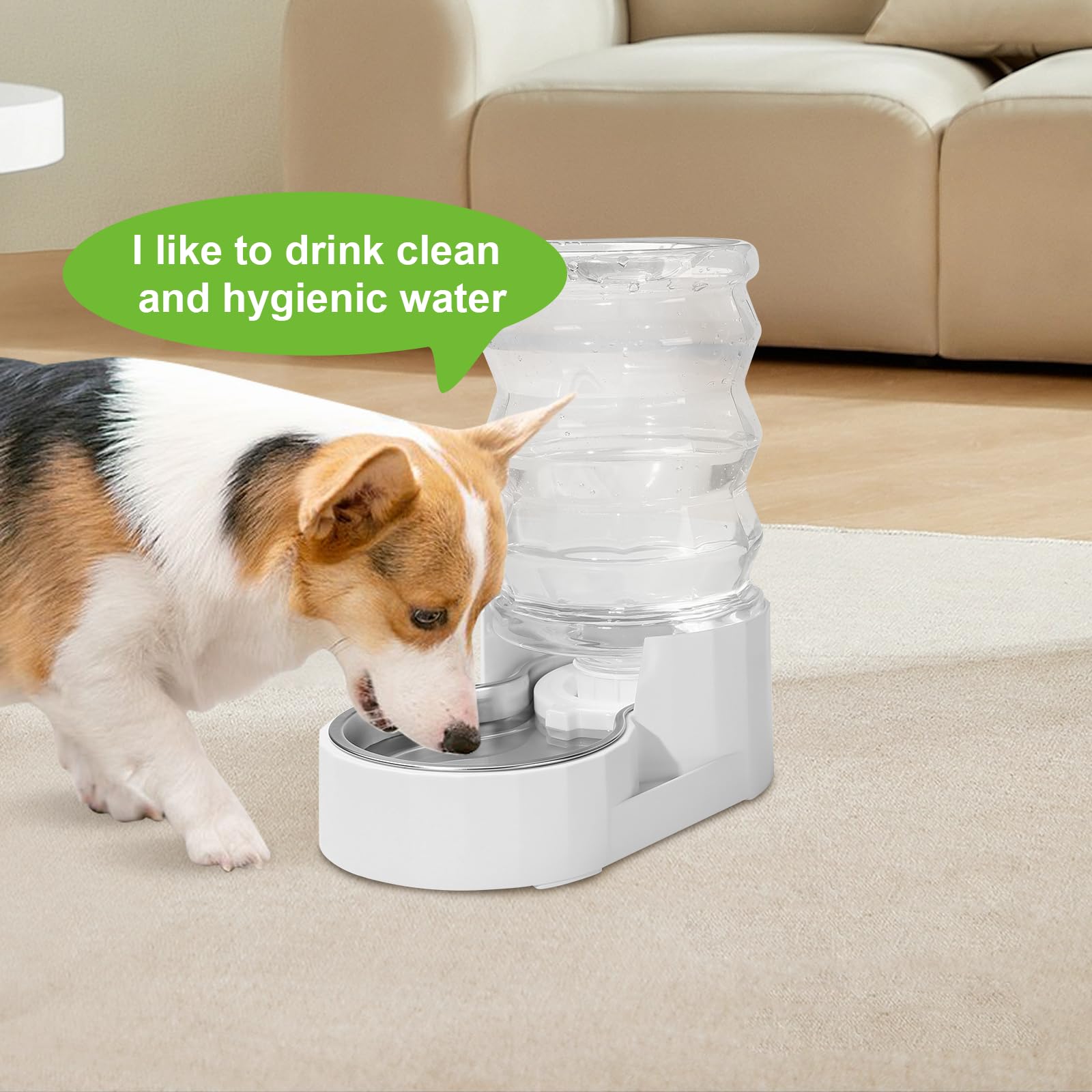 Filtros dispensadores de agua para perros, sistema de triple filtración, repuesto de filtro de fuente de agua para perros (8 piezas)