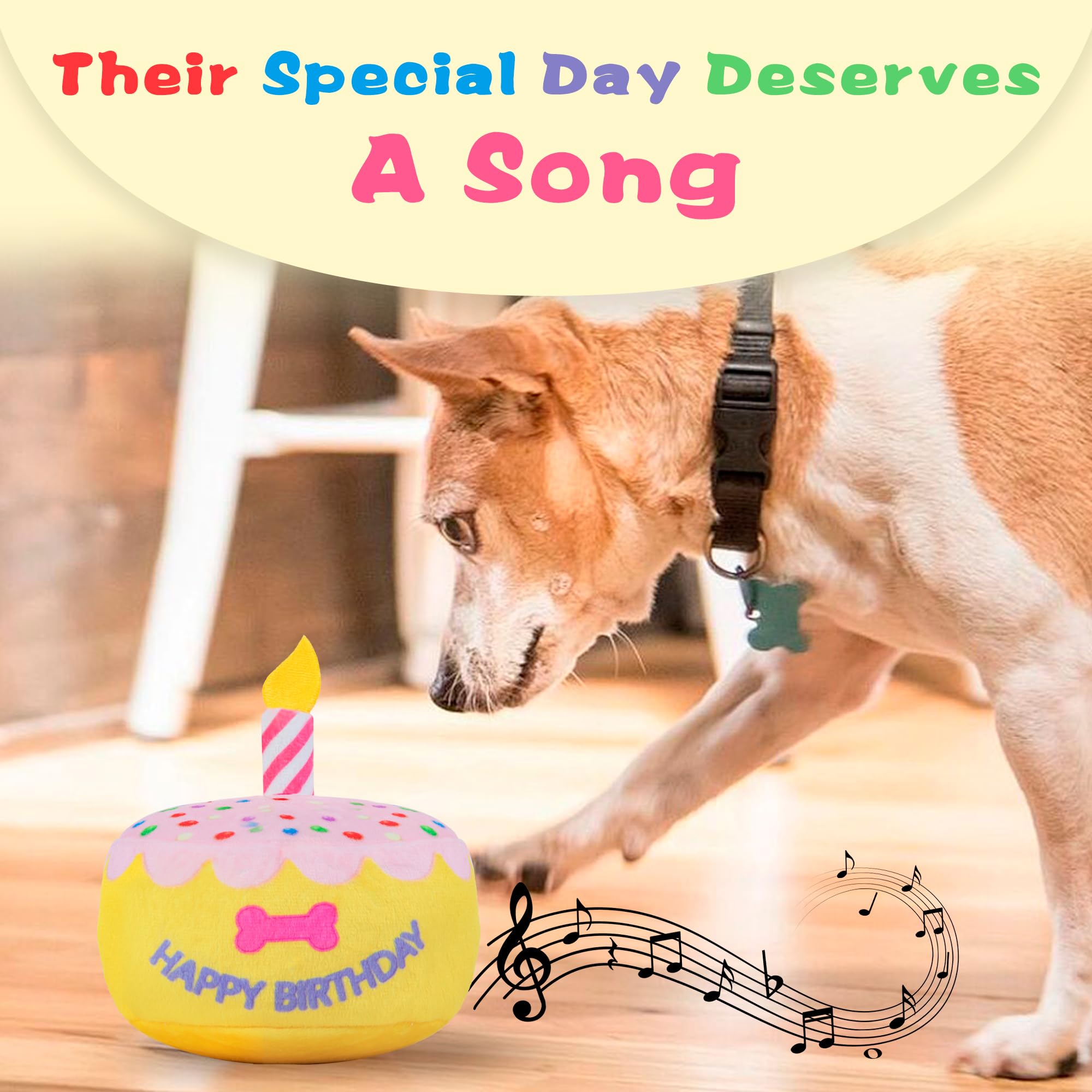 Jouet d'anniversaire pour chien