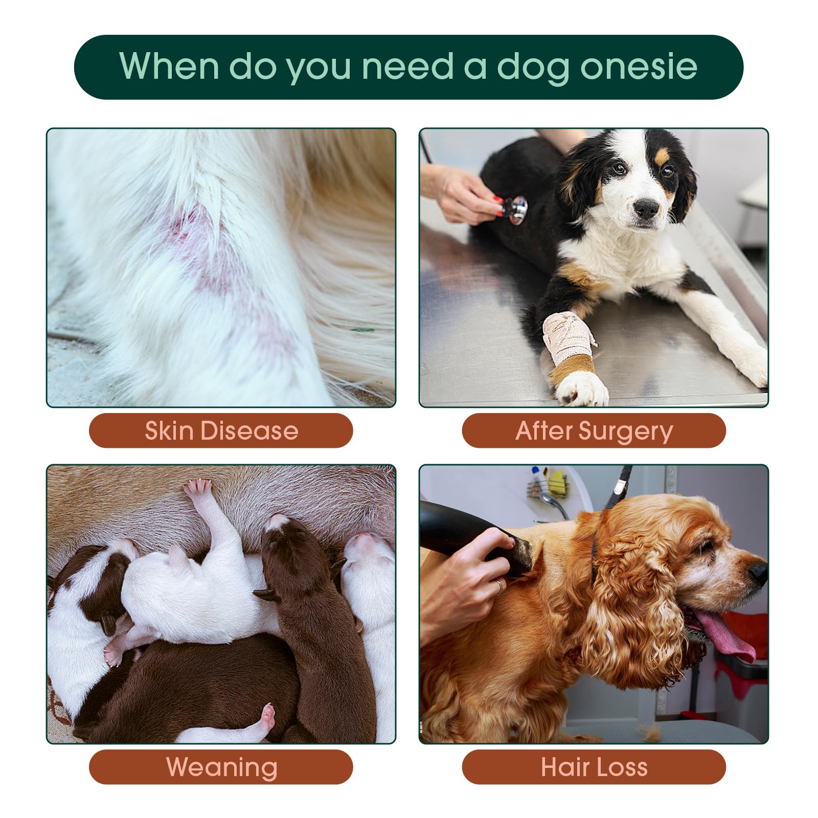 Tutina Post-operatoria Per Cani - Comoda E Protettiva Per Recupero Chirurgico, Taglia M - Foto 8