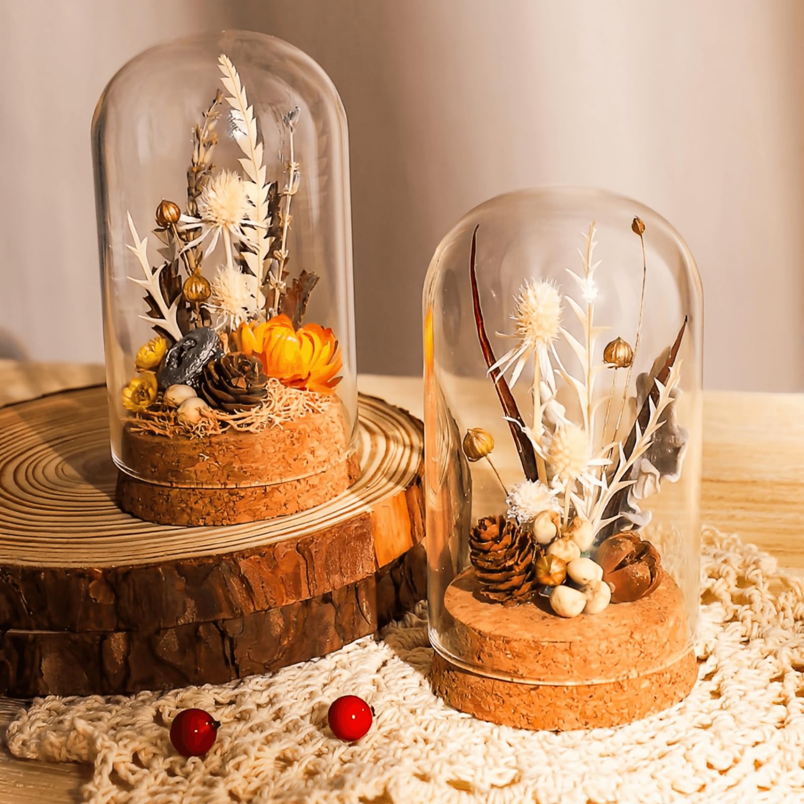 Amazon.com: 2.36x3.94inch 6Pcs Glass Display Dome Cloche,Clear