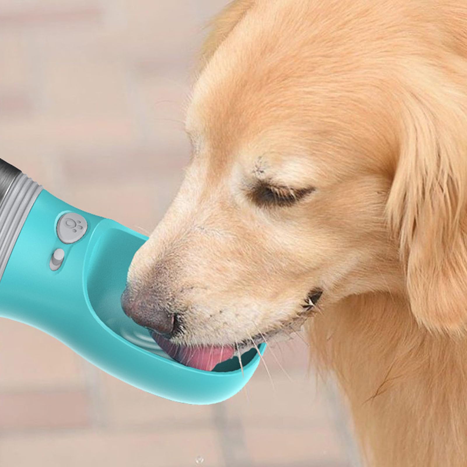 Bottiglia d'acqua da viaggio per cani, dispenser di idratazione per animali domestici, bottiglia in acciaio a prova di perdite con pieghevole, contenitore portatile per bevande all'aperto