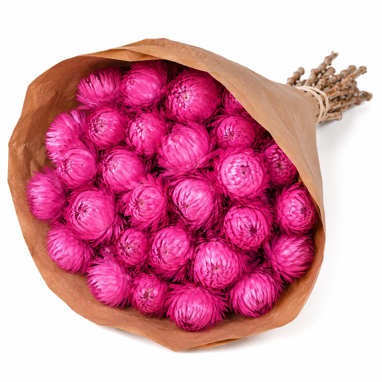 Floralcraft Fuchsia Everlasting Helichrysum Dried Flower Bunch – 40Cm Preserved Dried Flowers Bouquet For Weddings, Home Décor, Valentine’s Day Gifts, Floral Arrangements, Diy Crafts & Decorations