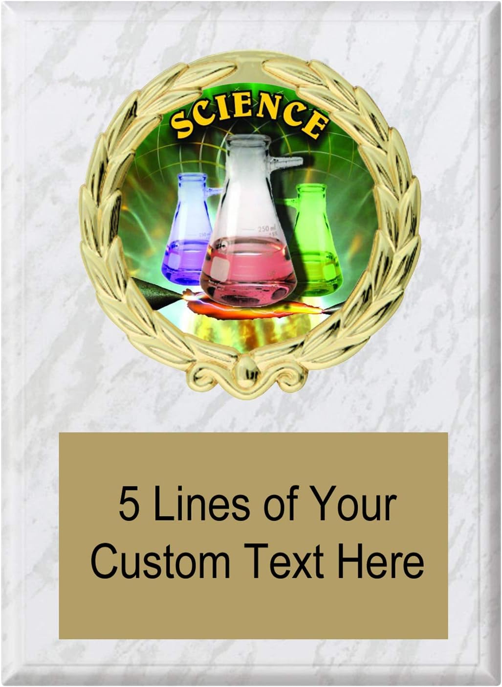 Express Medals Various Styles of Personalized Science Award Plaques Trophy Prize Gift