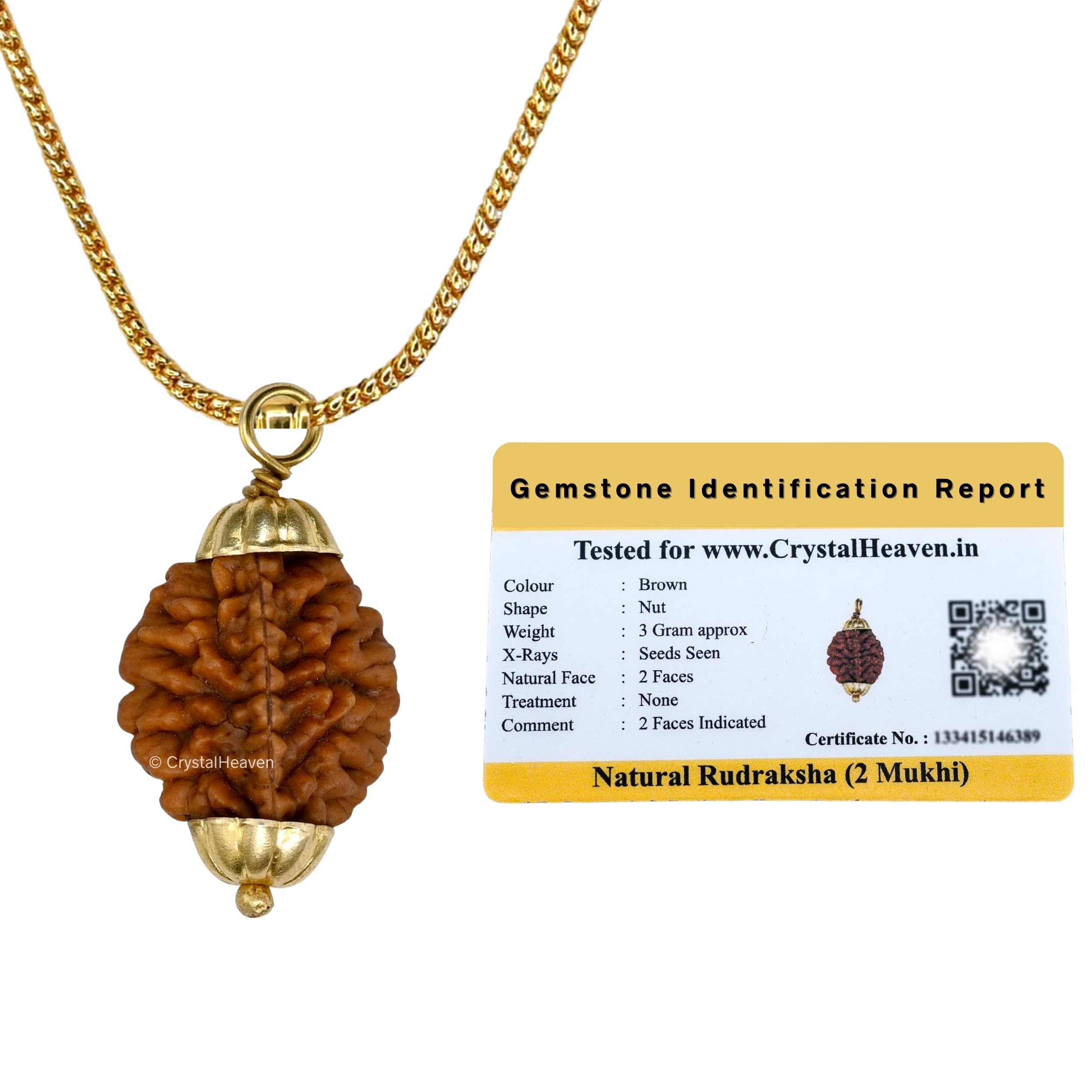 Crystal HeavenCrystal Heaven Rudraksha Original 2 Mukhi Pendant Necklace for Women Men | Certified Rudraksha with Velvet Pouch (Gold)
