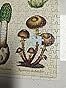 Vintage puzzel met aapjes – Tres' Vintage