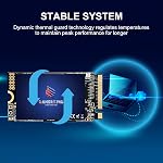 GAMERKING SSD 256GB M.2 2242 NVMe PCIe Gen3.0x4 42mm M.2 NVMe SSD M Key 3D NAND TLC High Performance Internal Solid State Drive for Ultrabook Desktop Notebook PC