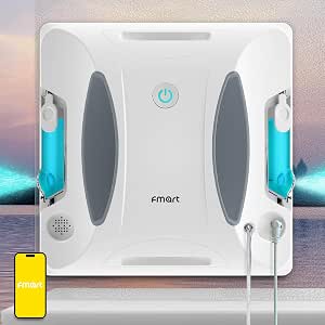Nettoyeur Vitres 2 En 1 LINEA TIELLE - Lave-Vitres Avec Aspiration Batterie Rechargeable