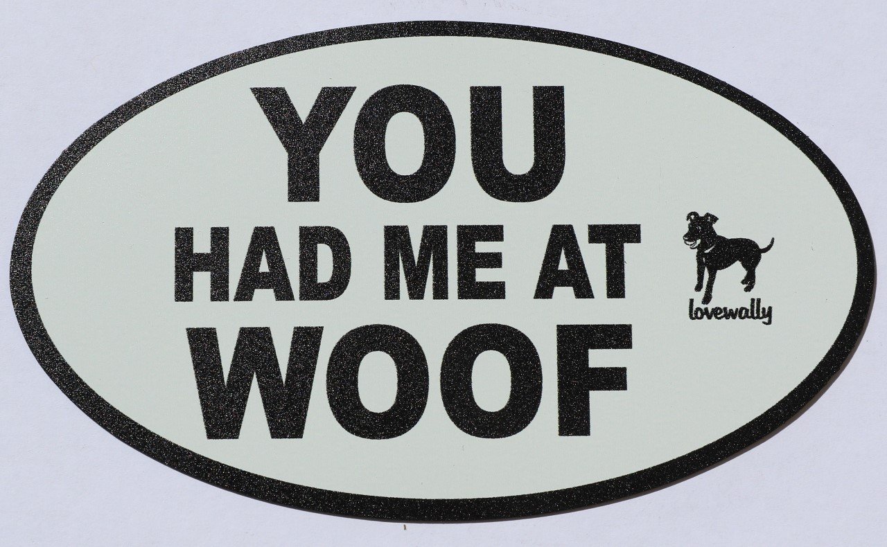 LoveWallyDog Magnet Pet Love You Had Me at Woof for Car Truck Fridge (Black White)