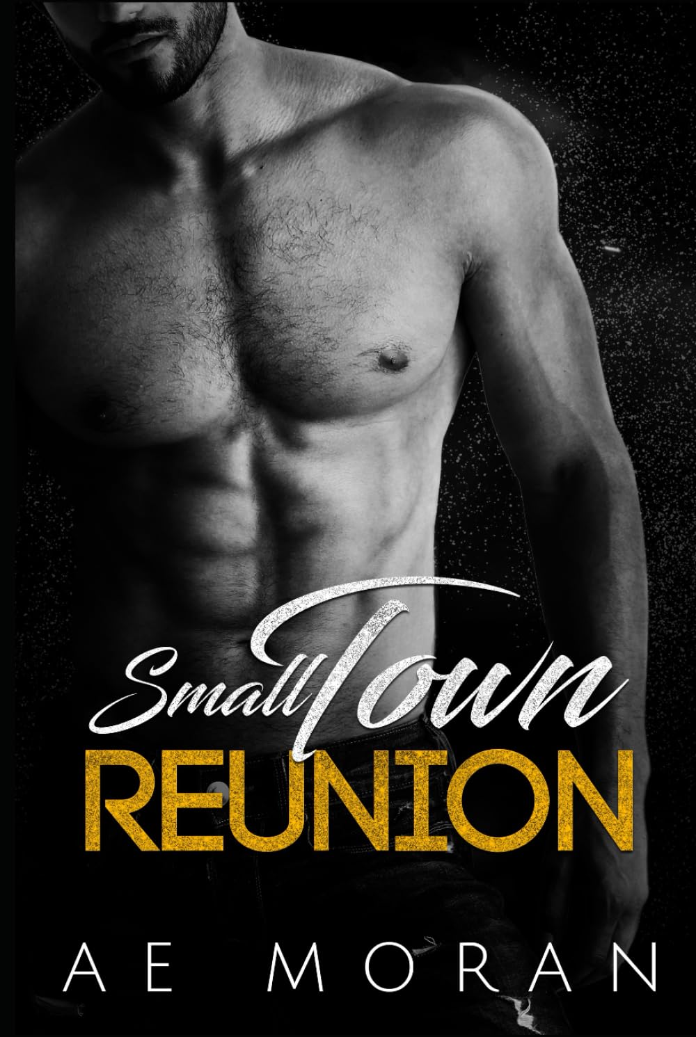 Small Town Reunion: An Alpha Male Billionaire Enemies to Lovers Small Town Contemporary Romance