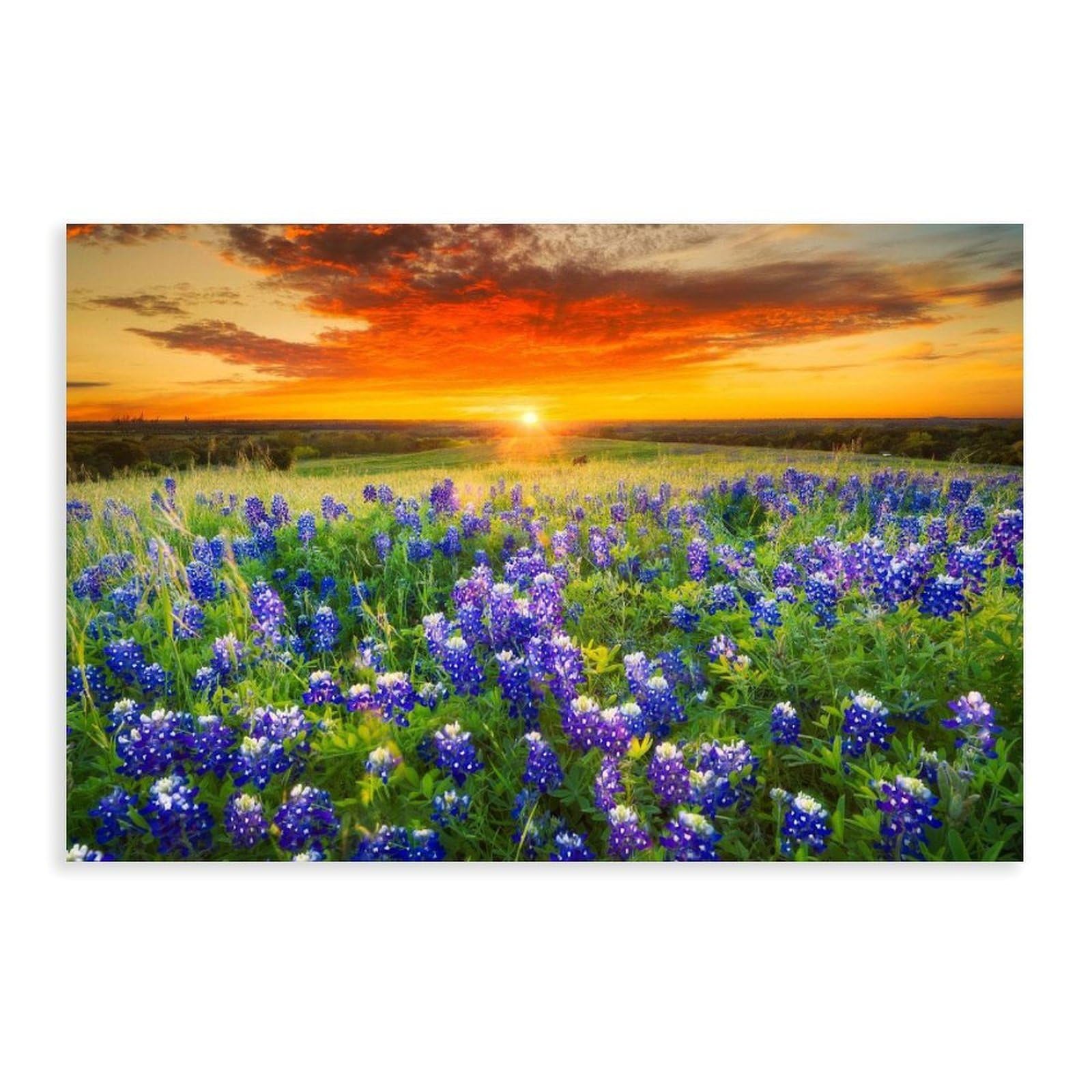 Bareronor Colorful Wildflowers Field Sea Canvas Poster Bedroom Decor Landscape Office Room Decor Gift 20" L X 30" W