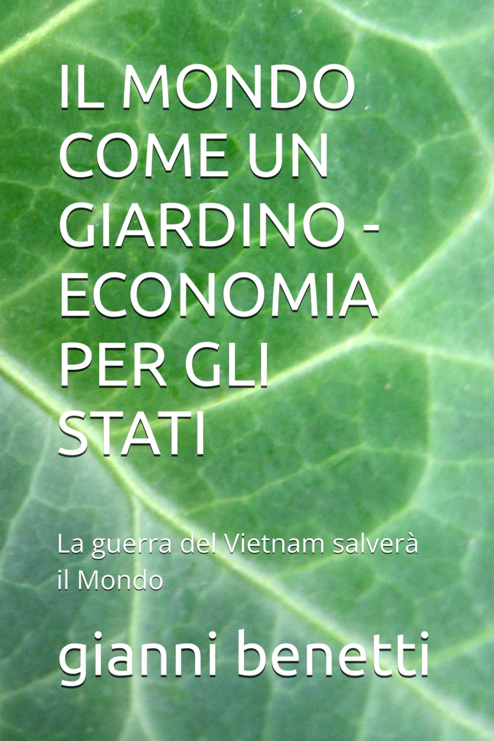 IL MONDO COME UN GIARDINO - ECONOMIA PER GLI STATI: La guerra del Vietnam salverà il Mondo
