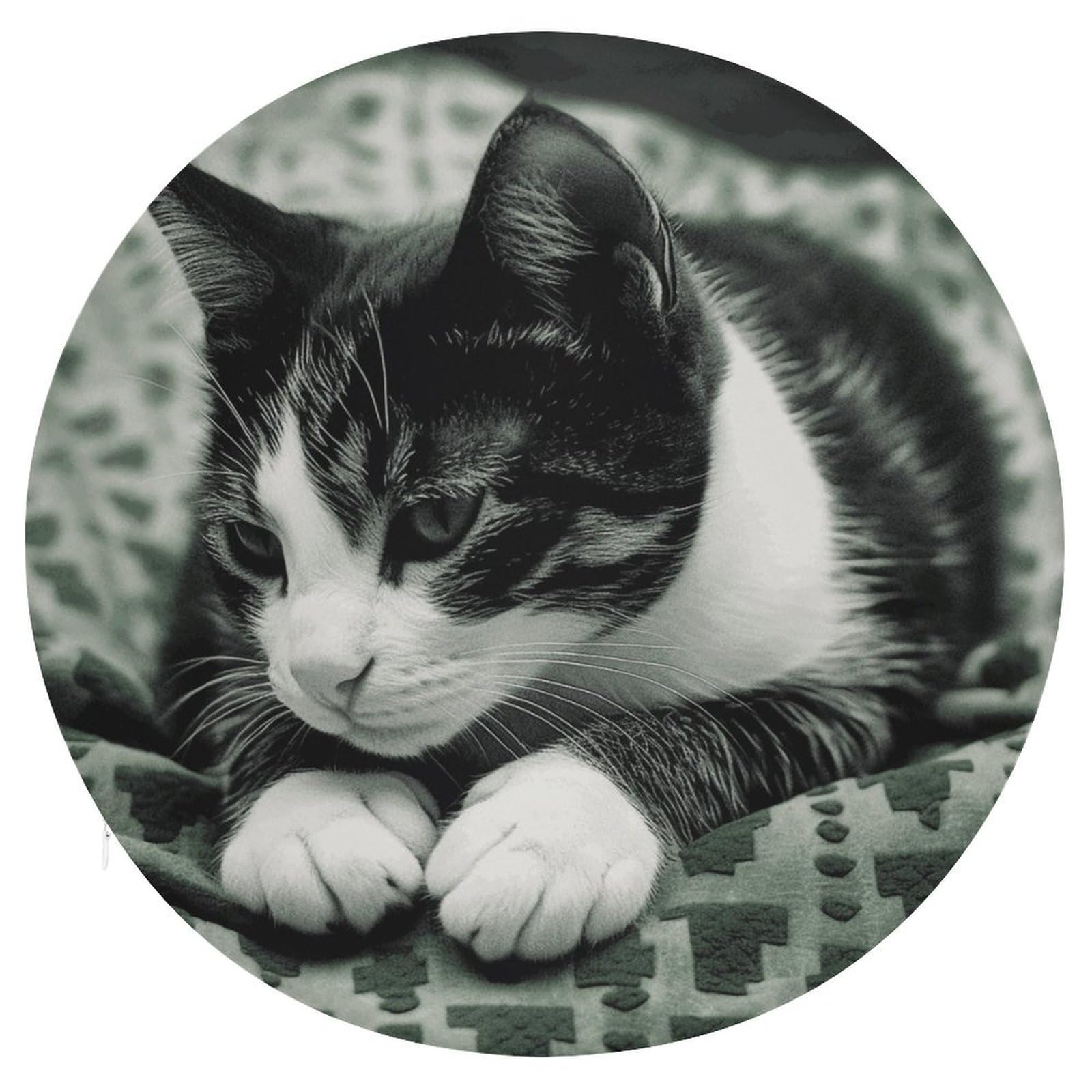 Wsoihfec Style Black And White Cat Seat Cushion Round Chair Pad