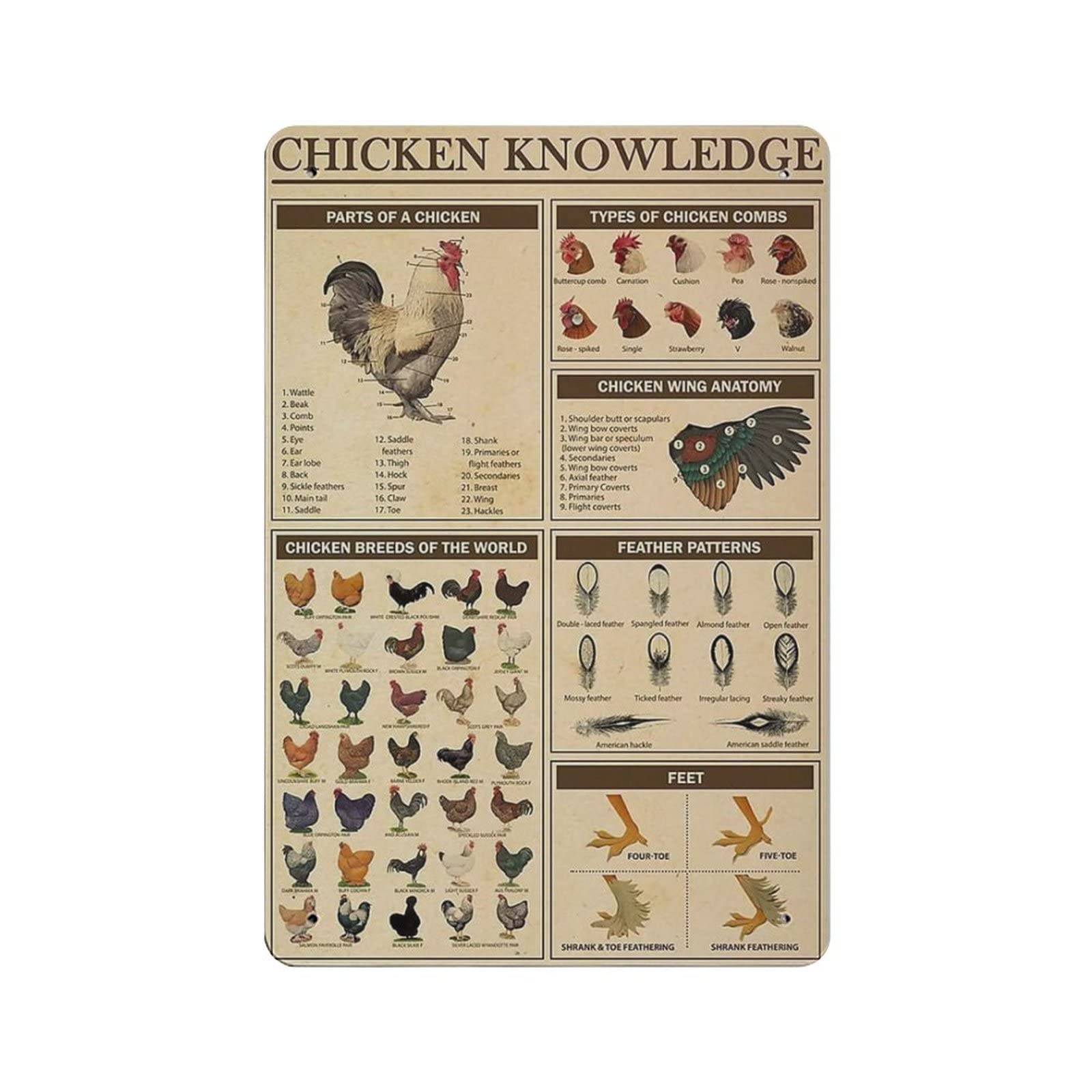 AOOEDM Chicken Knowledge Vintage Tin Sign Metal Tin Signs for Man Cave Funny Art Wall Plaque Kitchen Bar Pub Coffee Shop Wall Decor