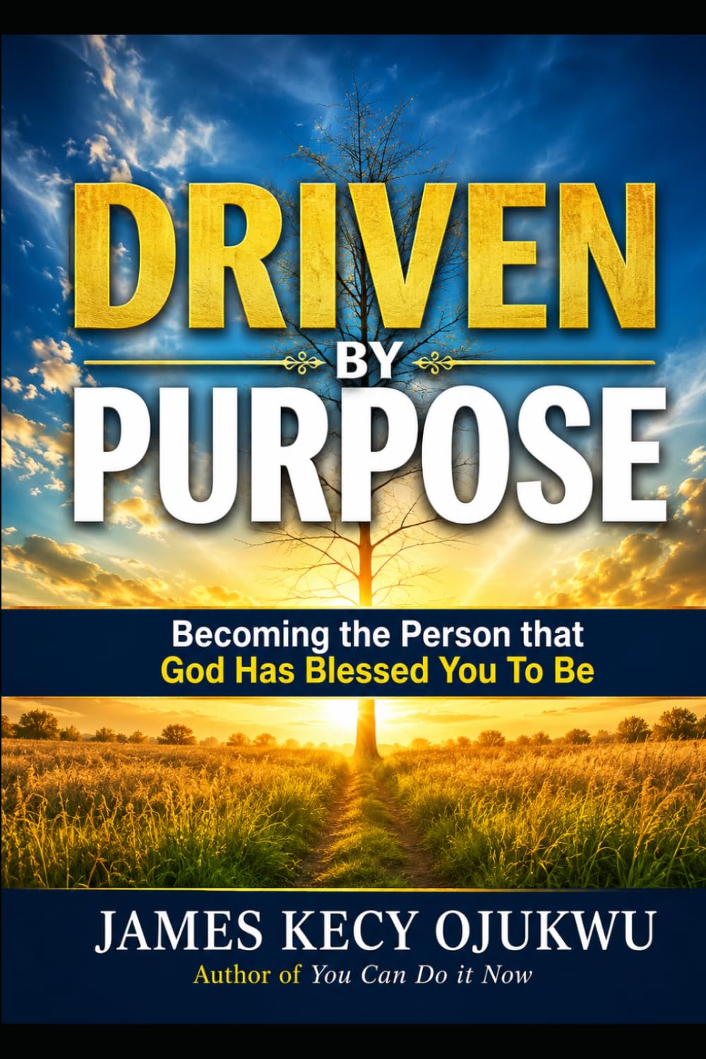 Driven By Purpose: Becoming the person that God has Blessed You to Be