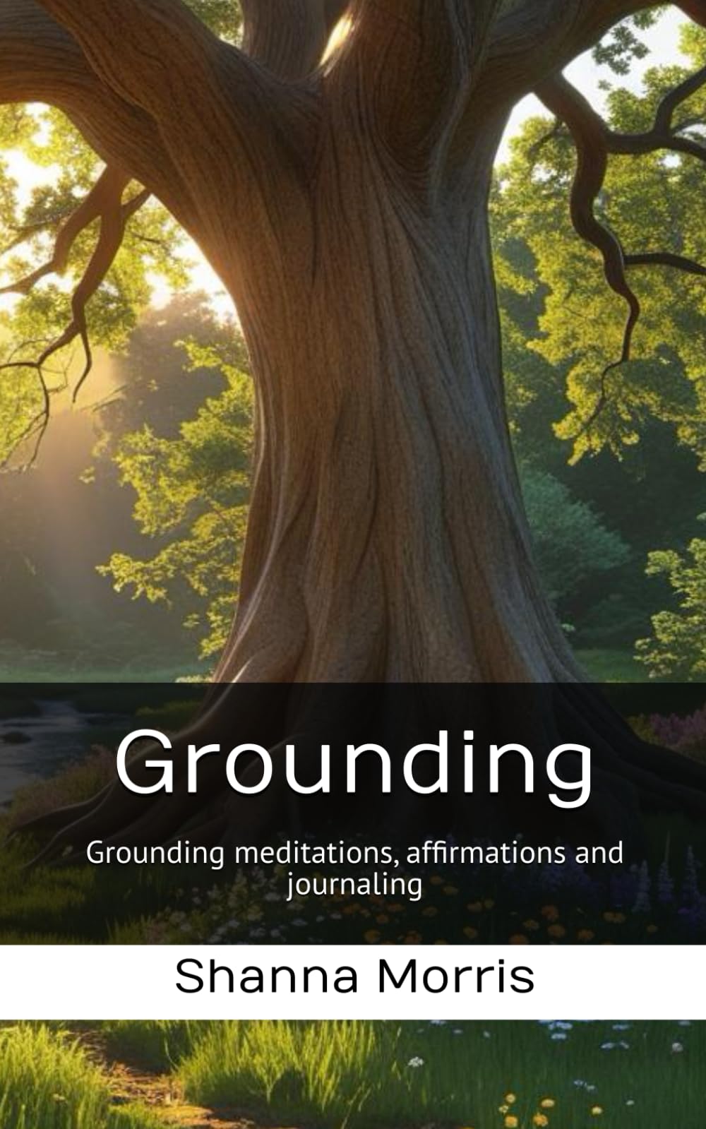 Grounding: Grounding meditations, affirmations and journaling