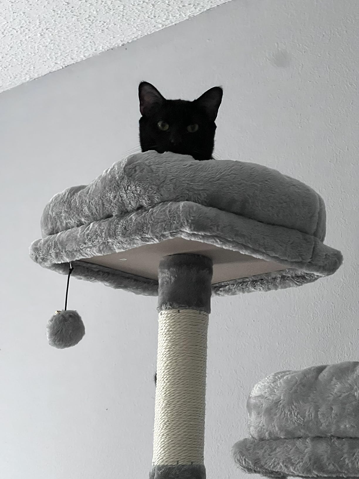 15/mo Finance Kilodor Tall Cat Tree, 65inch Cat Tower Multi Level