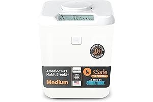 Kitchen Safe Time Locking Container (Medium)