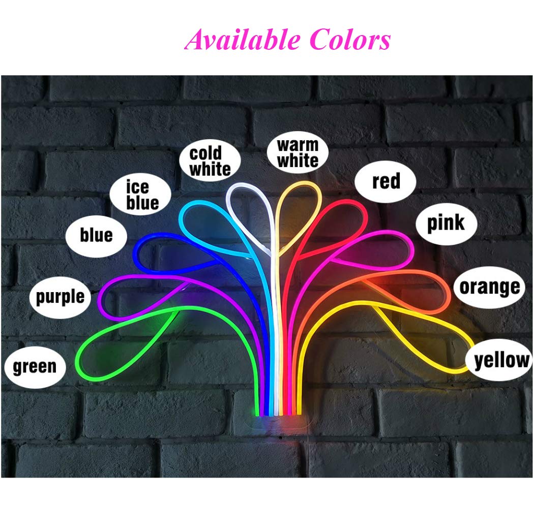 Britrio Custom Neon Light Signs for Bedroom Wall Decor Neon Art Accent for Man Cave Game Room Party Birthday Gift 12V Indoor Use(12