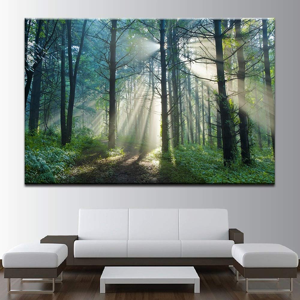Toile ensoleillement forêt avec cadre 40x60cm pour décoration de salon