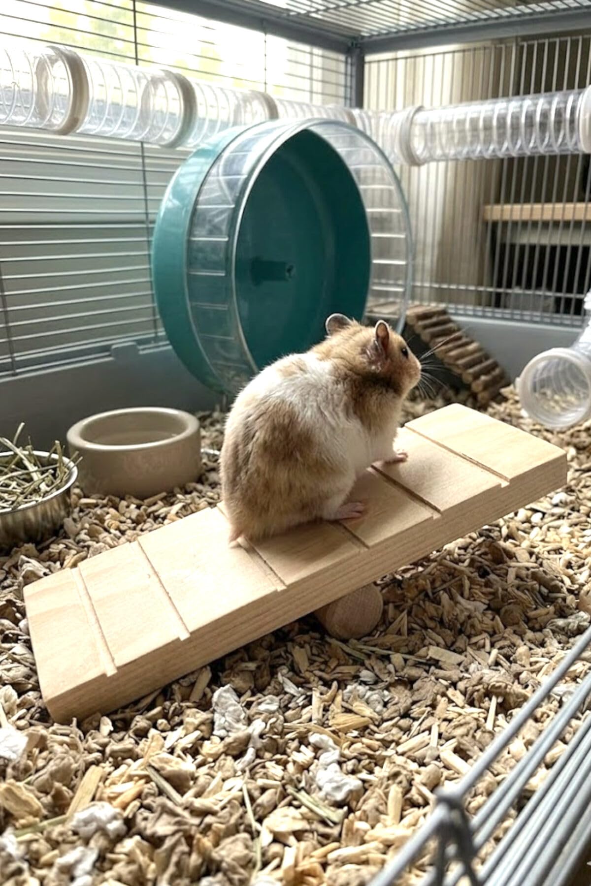 20x7 cm doğal ahşap hamster tahtıravallisi