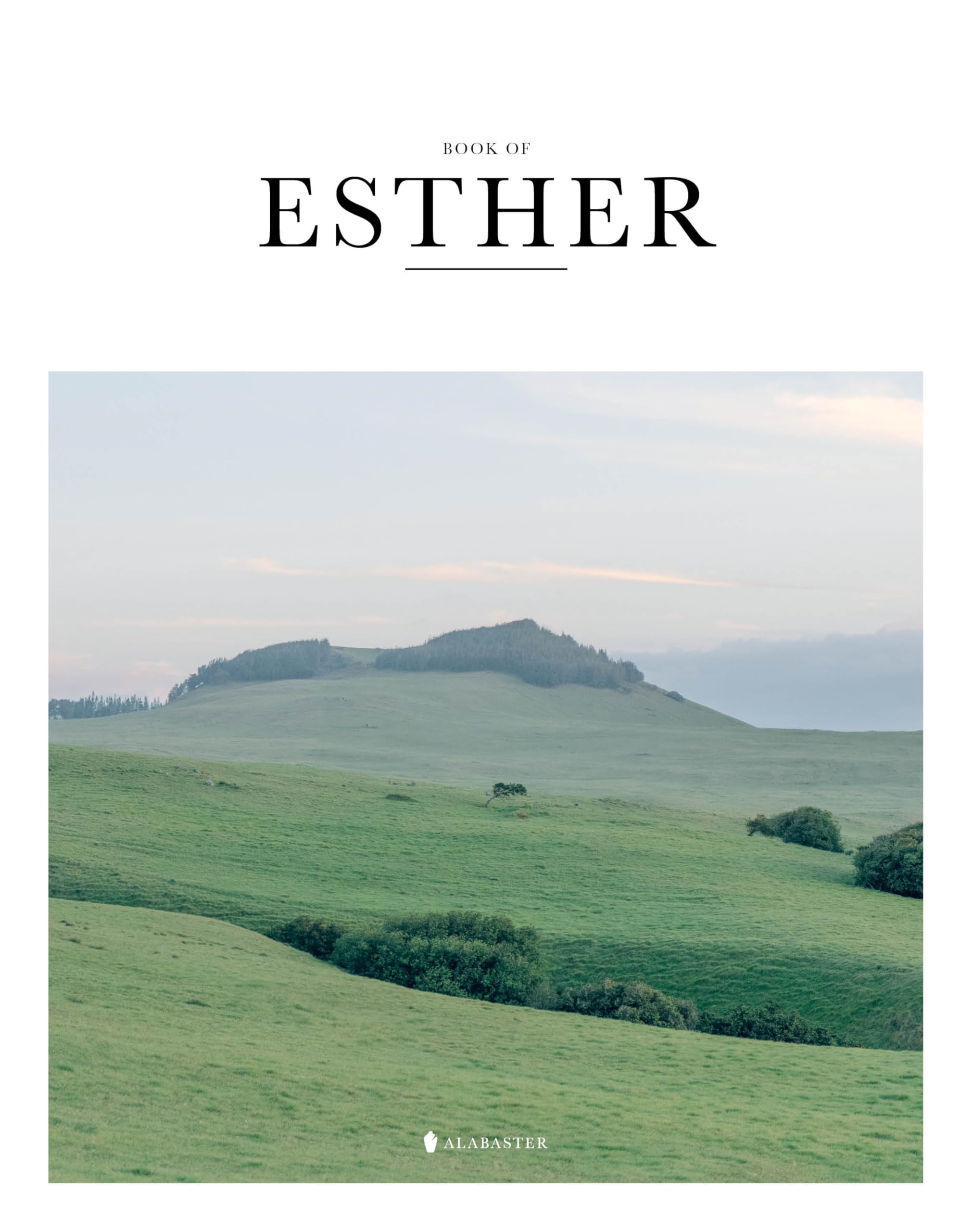 Book of Esther (SC,NLT)