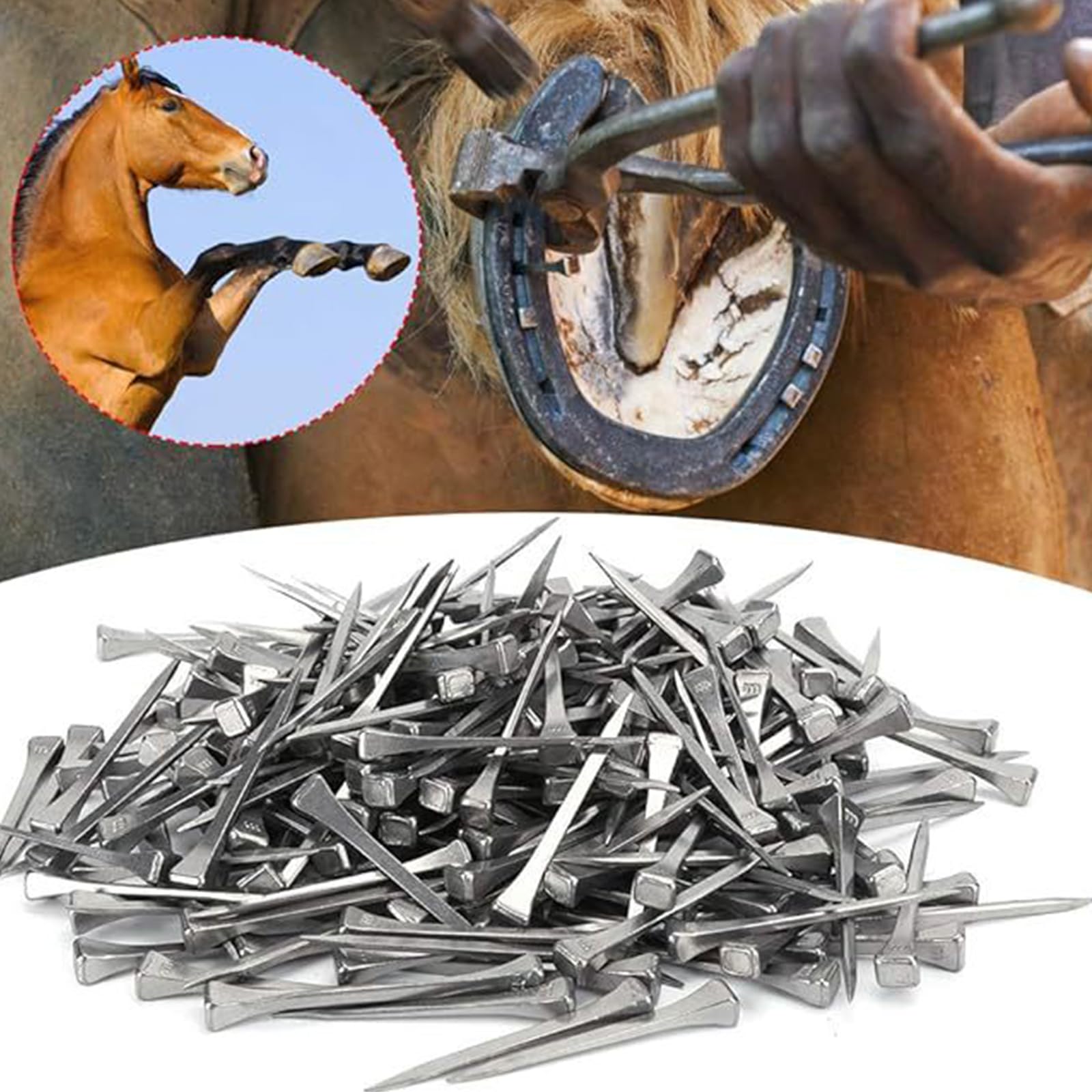 Chiodi Per Ferri Di Cavallo In Acciaio | 40 Pezzi 41mm | Per Maniscalchi E Stabili - Foto 4