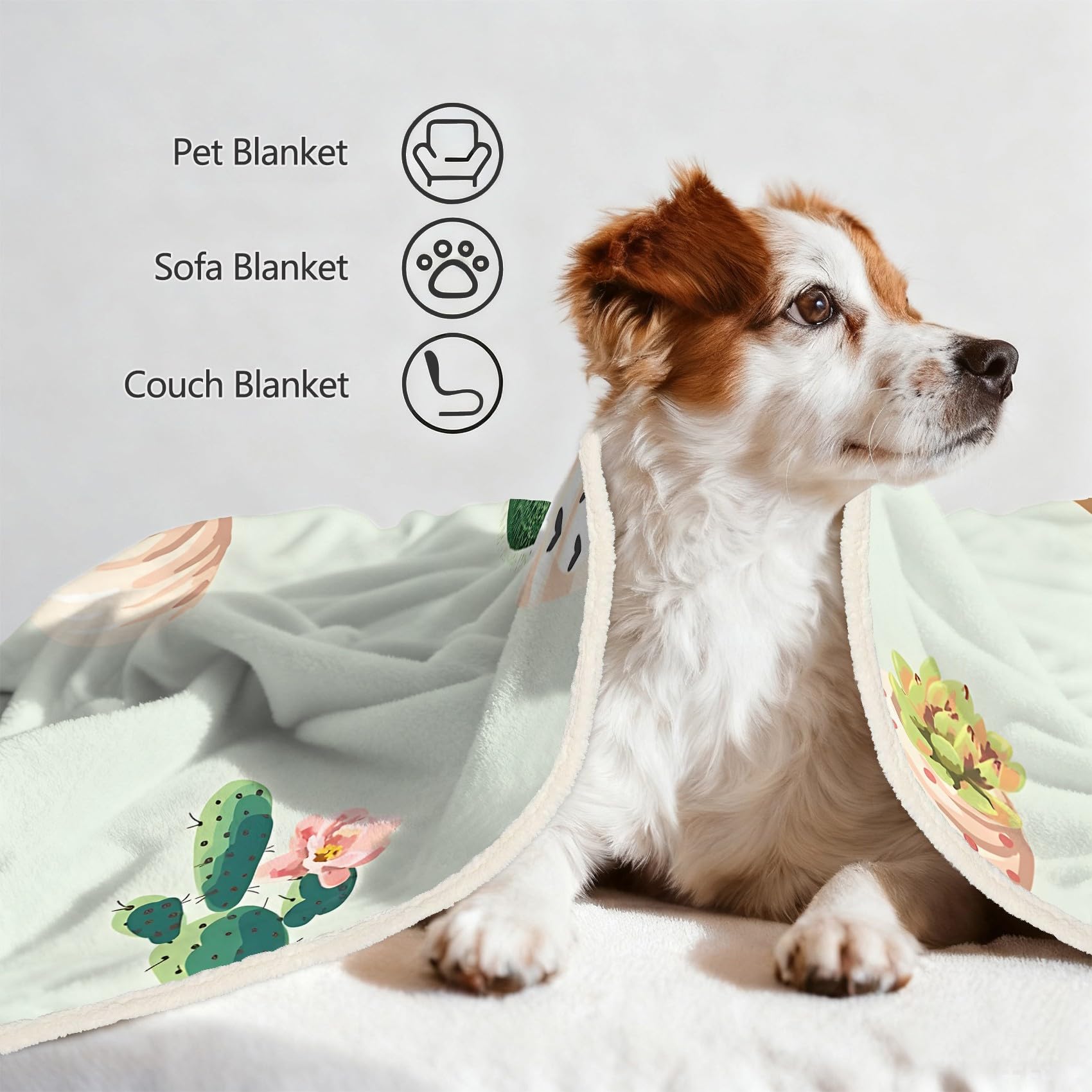 Kaktus Fleecedecke 150x220 cm – Ultraweich Kuscheldecke, Green Flauschige Decke für Bett, Sofa & Wohnzimmer, Weicher Überwurf zum Kuscheln