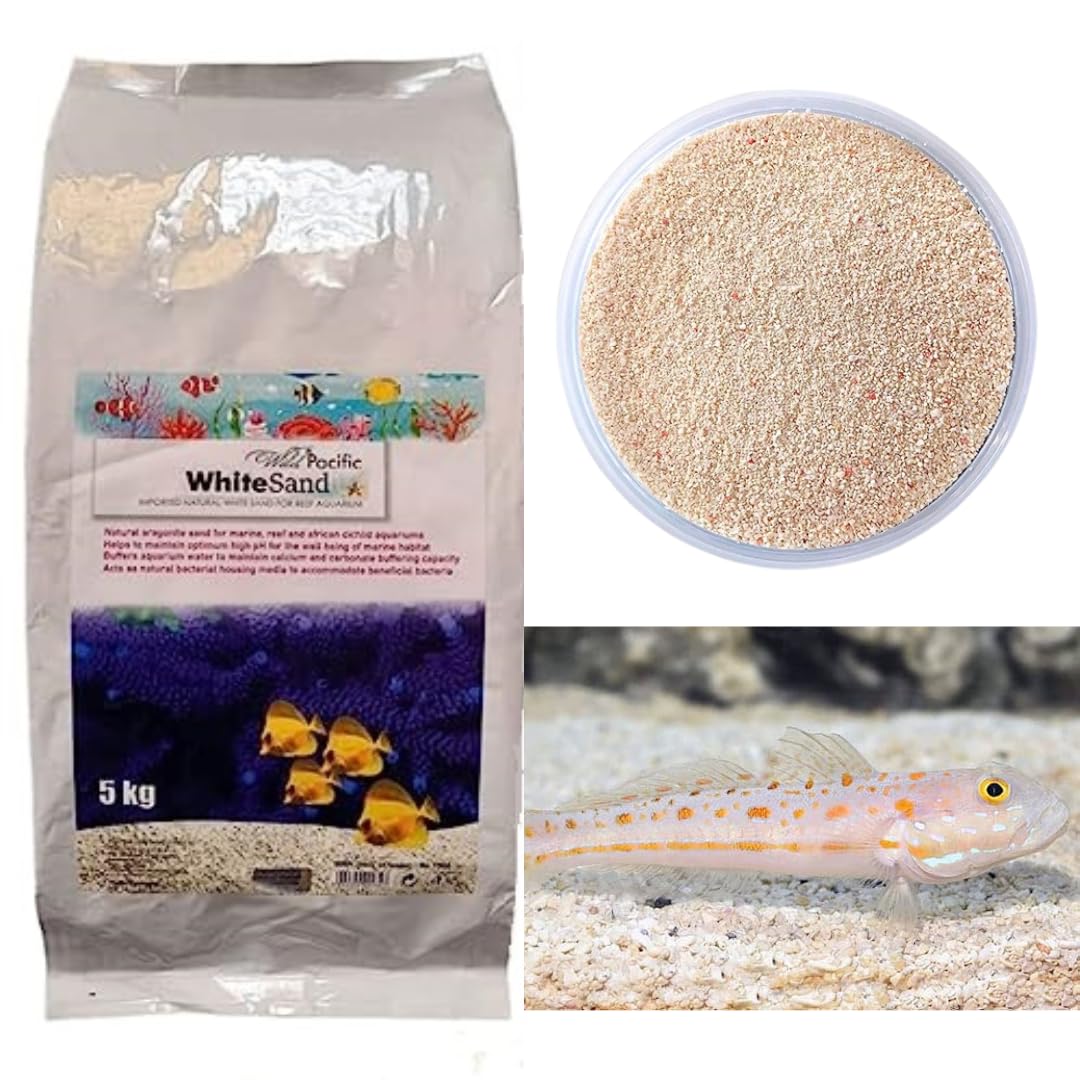 See full amazon price history chart for SANSEFERO Aquatic Remedies Imported Wild Pacific White Marine Sand for Aquarium | Premium 5kg Bag Marine Sand Substrate | Ideal for a Variety of Fish and Aquatic Life SANSEFERO Aquatic Remedies Imported Wild Pacific White Marine Sand for Aquarium | Premium 5kg Bag Marine Sand Substrate | Ideal for a Variety of Fish and Aquatic Life (B0C2KL1HLK) Amazon Price History, Amazon Price Tracker