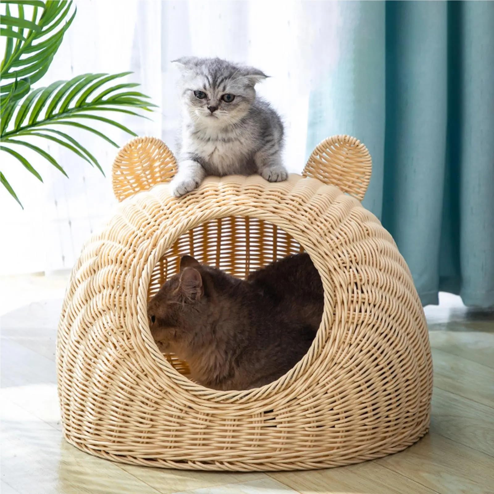 Cuccia rattan intrecciata, nascondiglio semichiuso, per gattini