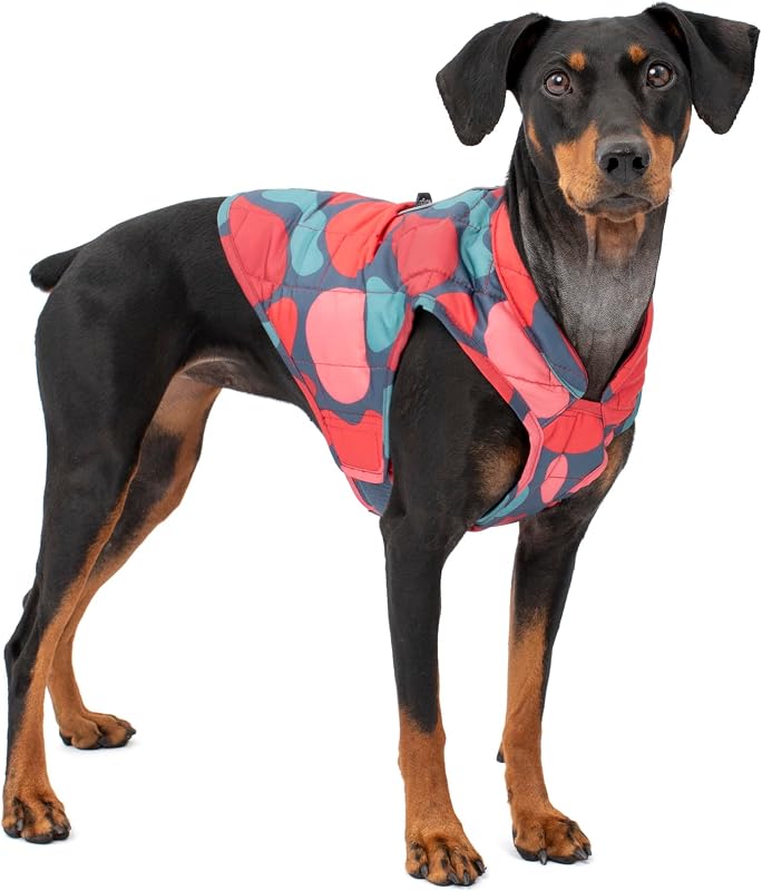 Casaco para Cães Kurgo Loft Reversível com Isolamento e Acesso para Peitoral, Lava Lamp, Extra Large