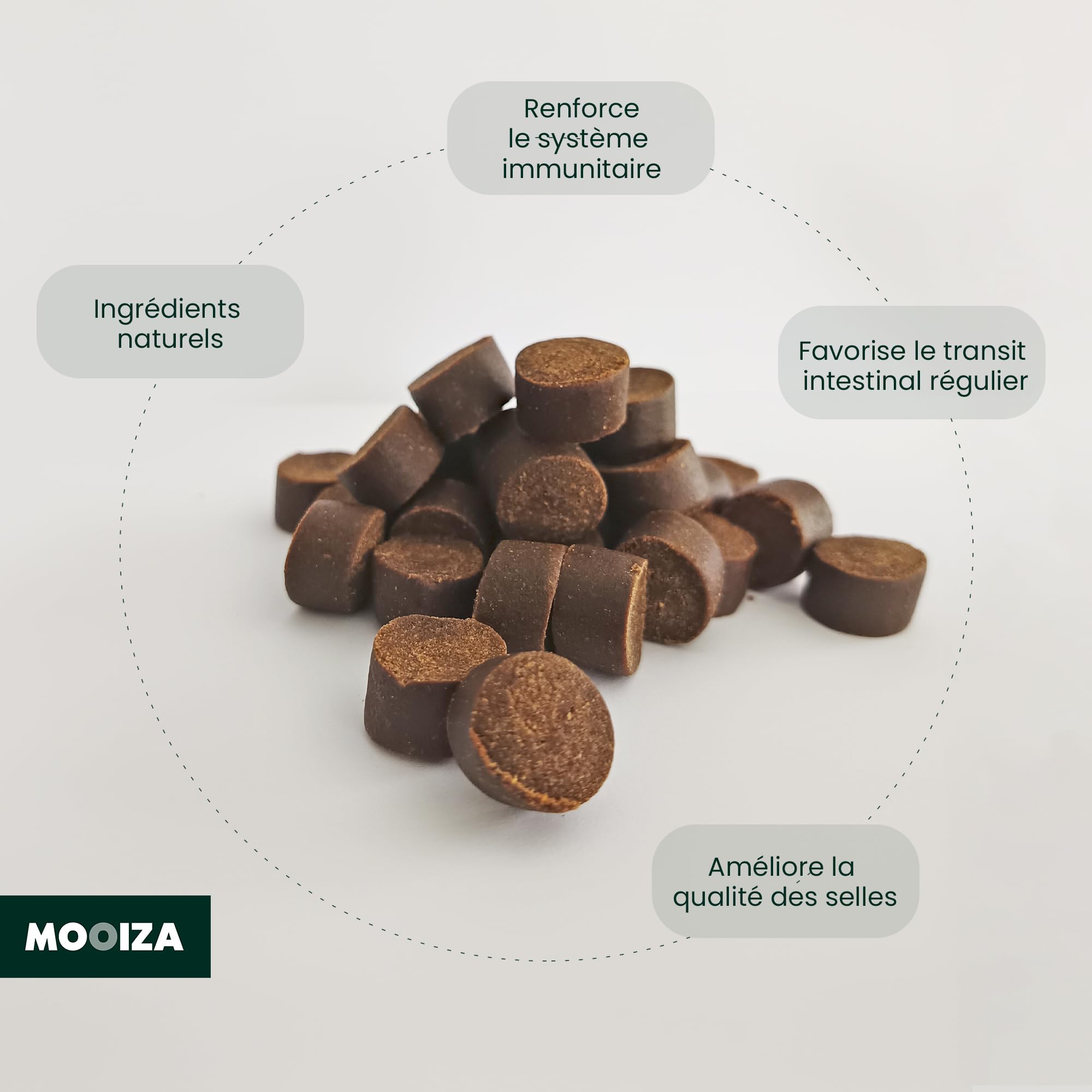 Prébiotiques naturels pour chiens et chats avec spiruline + psyllium et charbon végétal activé – Soutien flore intestinale – Supplément nutritionnel pour immunité digestive en format biscuits 300 g |