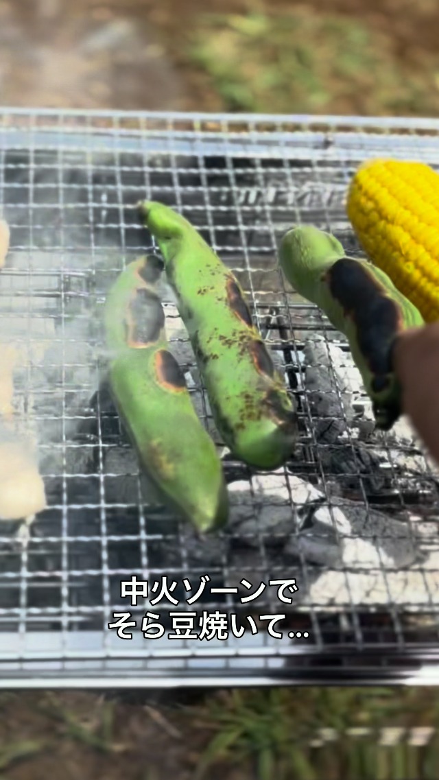 Amazon | グリーンライフ(GREEN LIFE) バーベキューコンロ 火力調整で