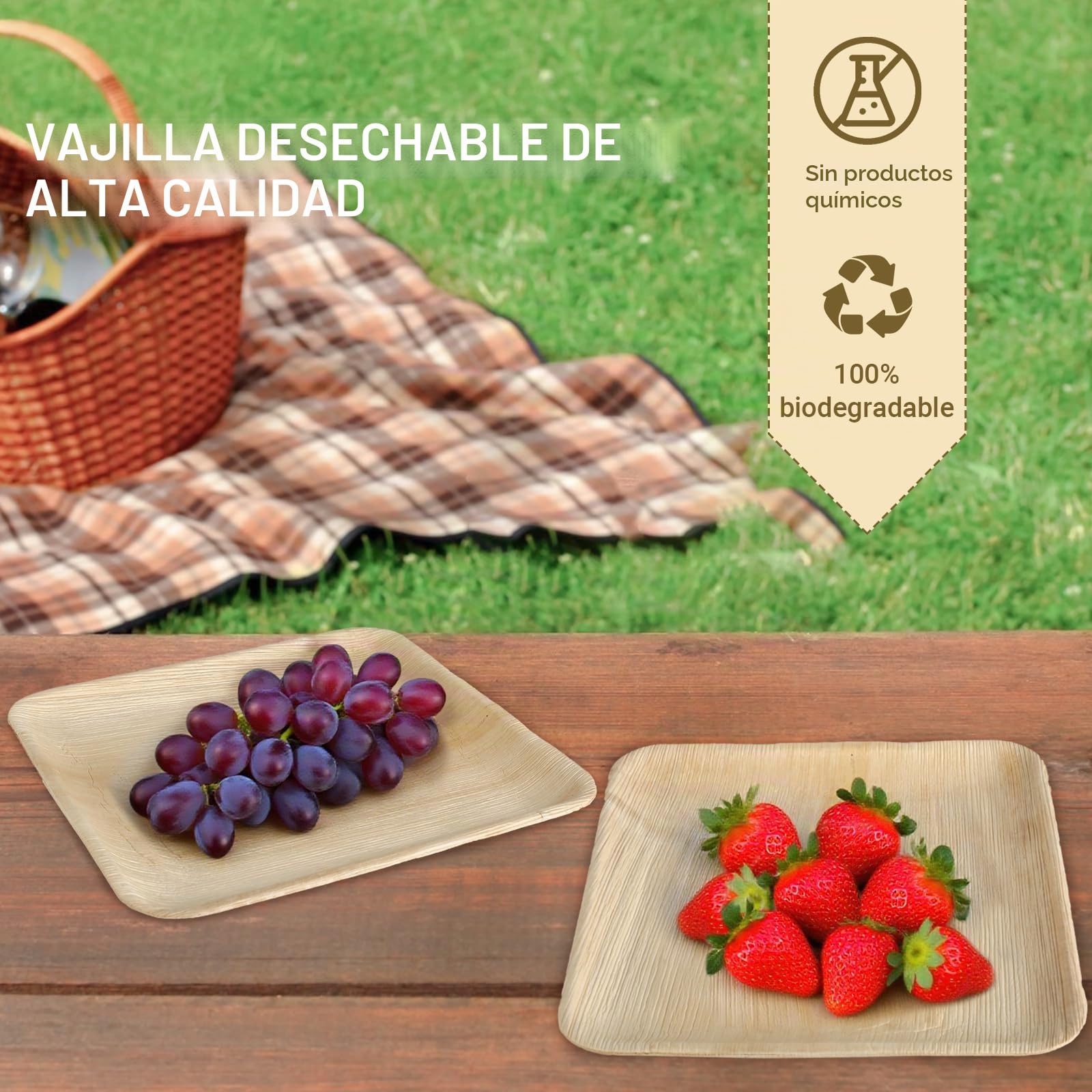 KITDAHOM 25 Platos de Hoja de Palma - Platos Naturales 25 x 25 cm - Material de Hoja de Palma - Vajilla Desechable Compostable y Resistente para Fiesta, Boda, Barbacoa, Picnic