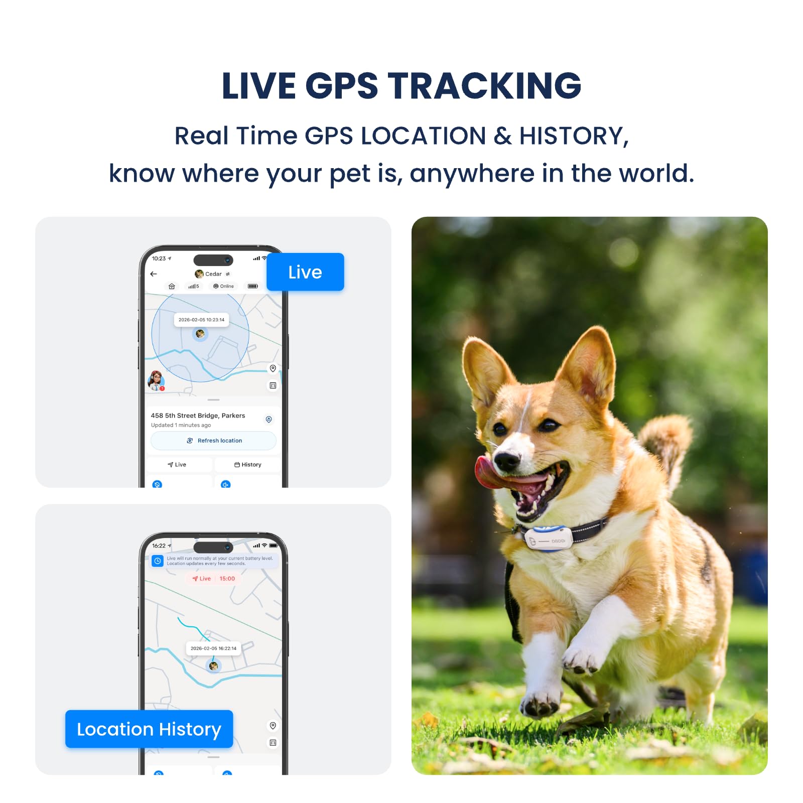 AI GPS Tracker for Dogs, Real Time Location and AI Vet Health Management, Electronic Fence, Waterproof, iOS and Android Compatible (White) - image 2