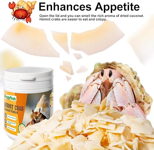 Hermit Crab Food - Baked Coconut Treat, Natural Dried Coconut for Crab Healthy & Additive Free, Easily Digestible Hermit Food Hermit - Ideal Crab Pet Snacks, Crispy & Delicious | 60g (Big)(2.1 Ounce (Pack of 1))