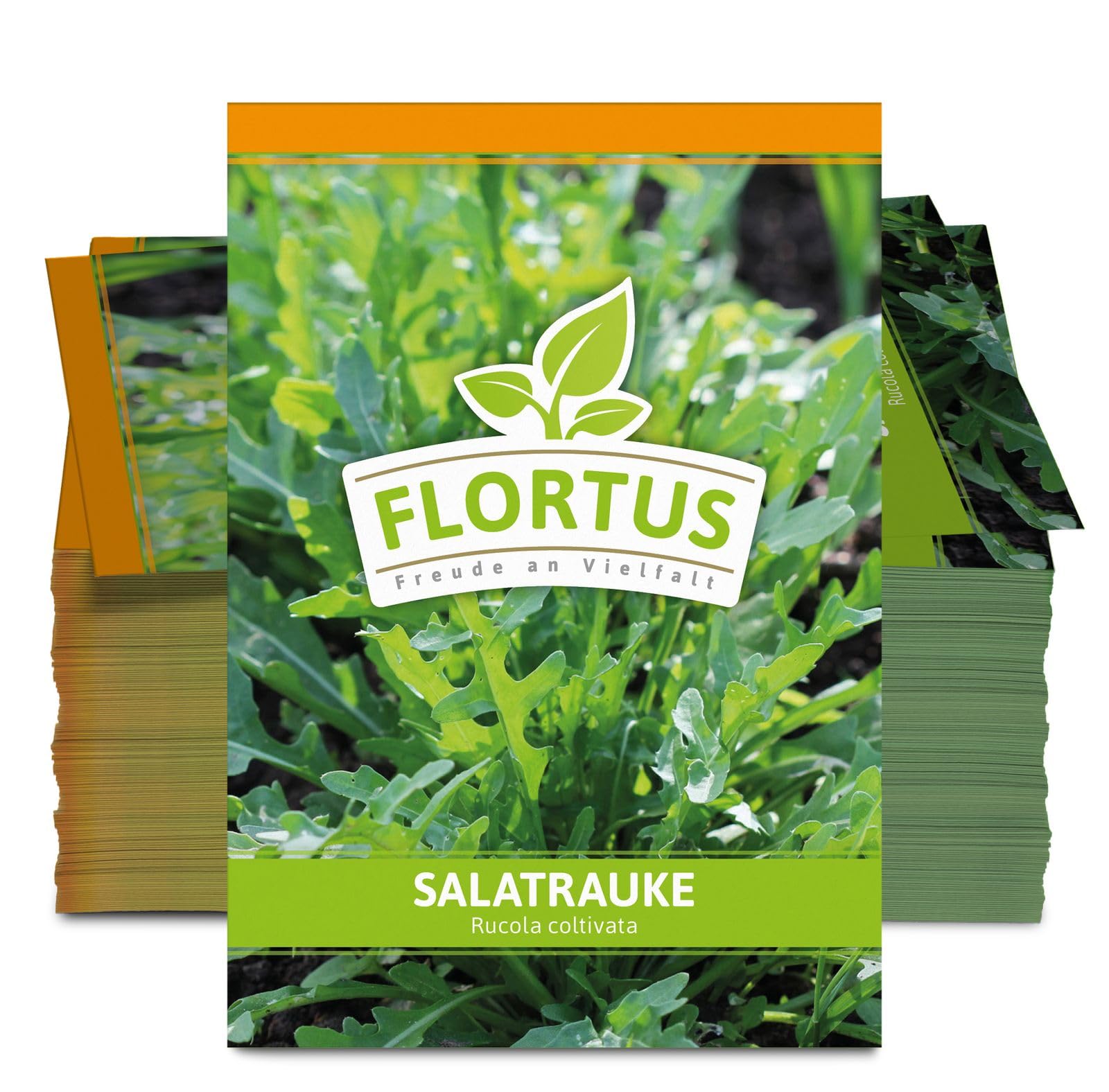 FLORTUS 2000-0451-100x Salatrauke (100 Tütchen) (Salatraukesamen)