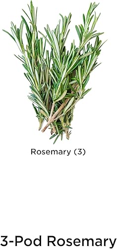 Miniatura 51 de AeroGarden - Kit de semillas.