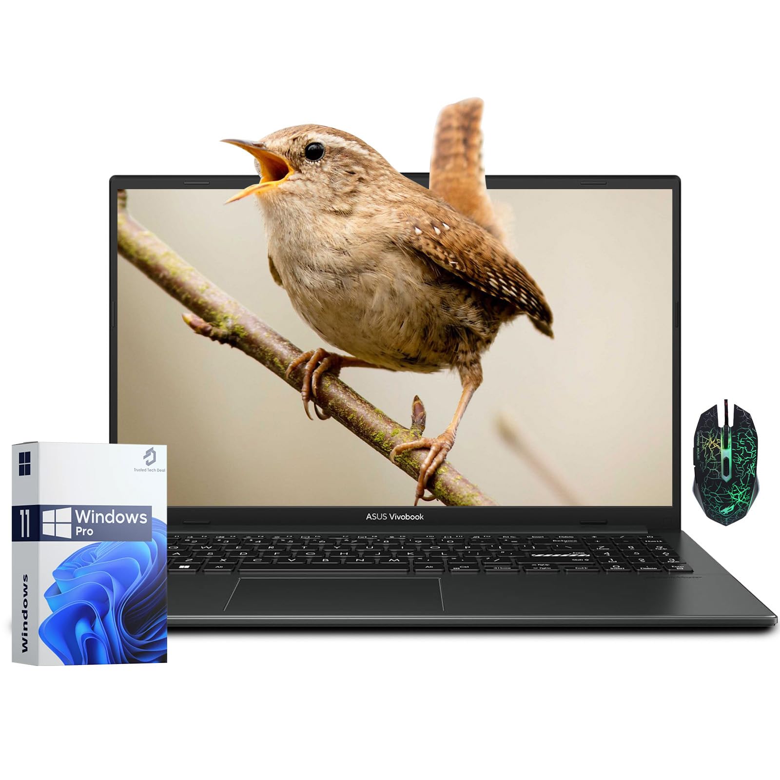 Amazon.com: ASUS Vivobook Go 15 - Computadora portátil empresarial