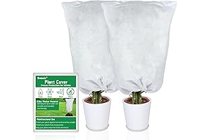 Rohuis Plant Covers Best - Freeze Protection for Trees and Shrubs