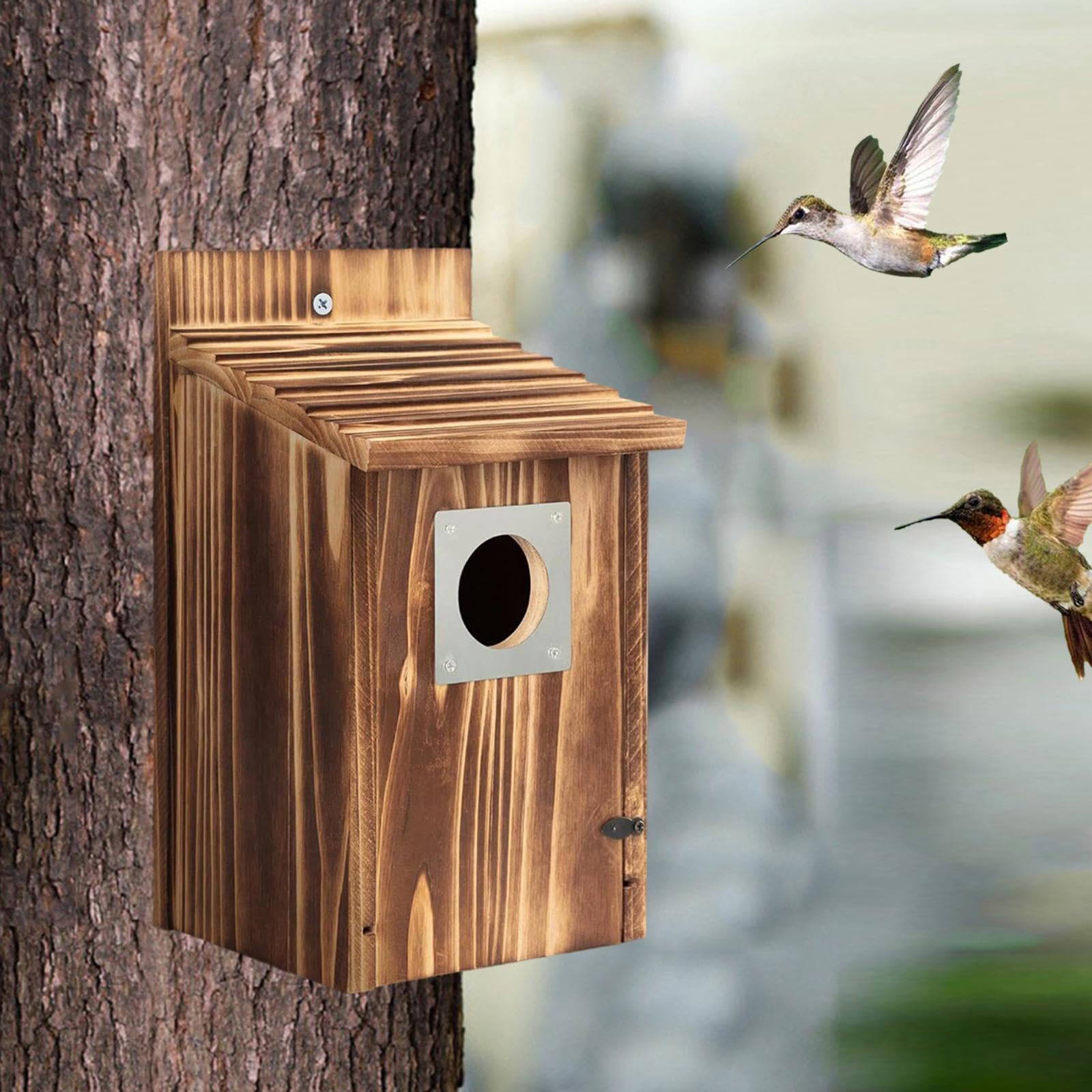 F Fityle para Pájaros Hecha de, Caseta para Pájaros, Fácil de Limpiar, Resistente a La Intemperie, para Colgar, Casa para Pájaros, Caja Nido para Patio