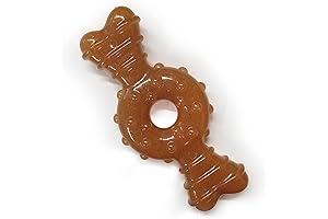 Nylabone Puppy Ring Bone: Teething Toy for Small Dogs (Chicken Flavor)