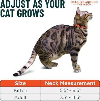 OutdoorBengal Green Breakaway Kitten Collar - Ultra Safe Quick Release Cat Collar for Small Kittens Under 6 Months Soft-Padded, Lightweight, Adjustable, Thin and Comfortable, No Bell (Green, Kitten)